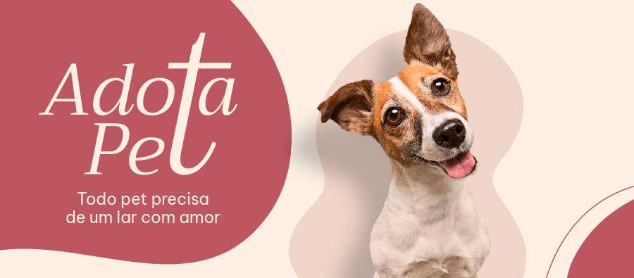 PIRA_63870_FiquePorDentro_Desktop_ 900 x 395px.png