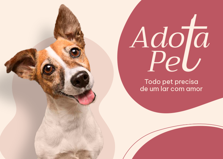 PIRA_63870_Fique_Por_Dentro_Mobile_ 750 x 536px.png